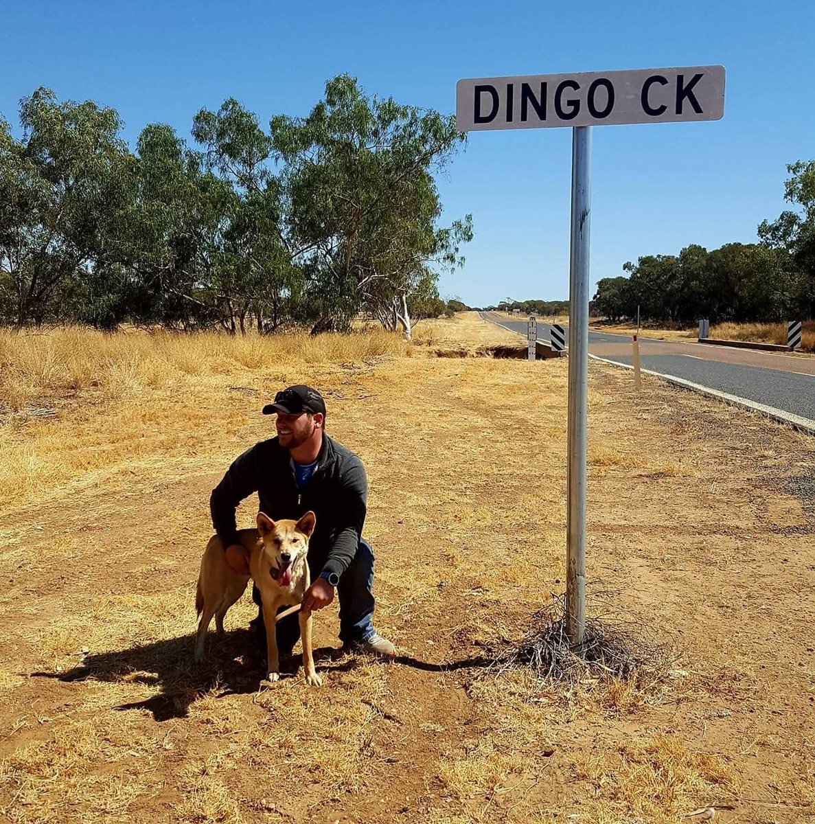 Me crouching beside a dingo next to a road sign in outback Australia